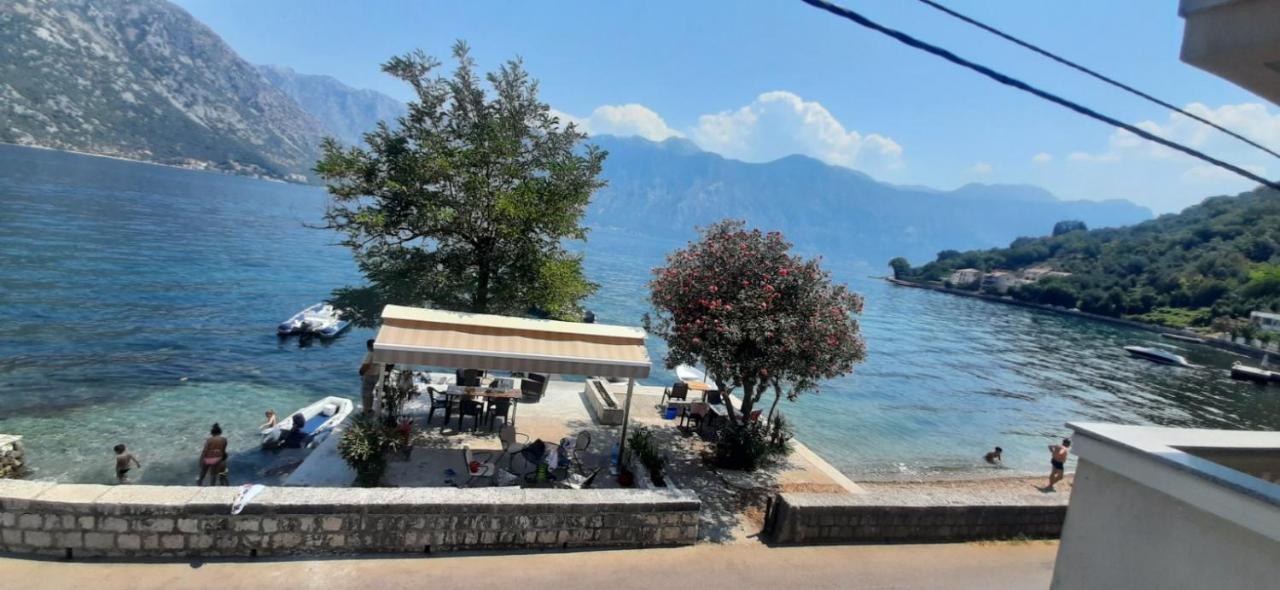 Apartmants Alexander Apartment Kotor Luaran gambar