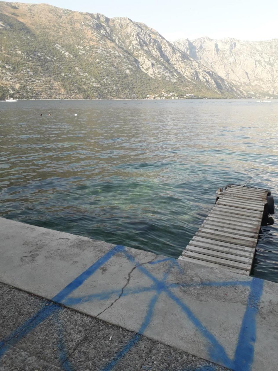 Apartmants Alexander Apartment Kotor Luaran gambar