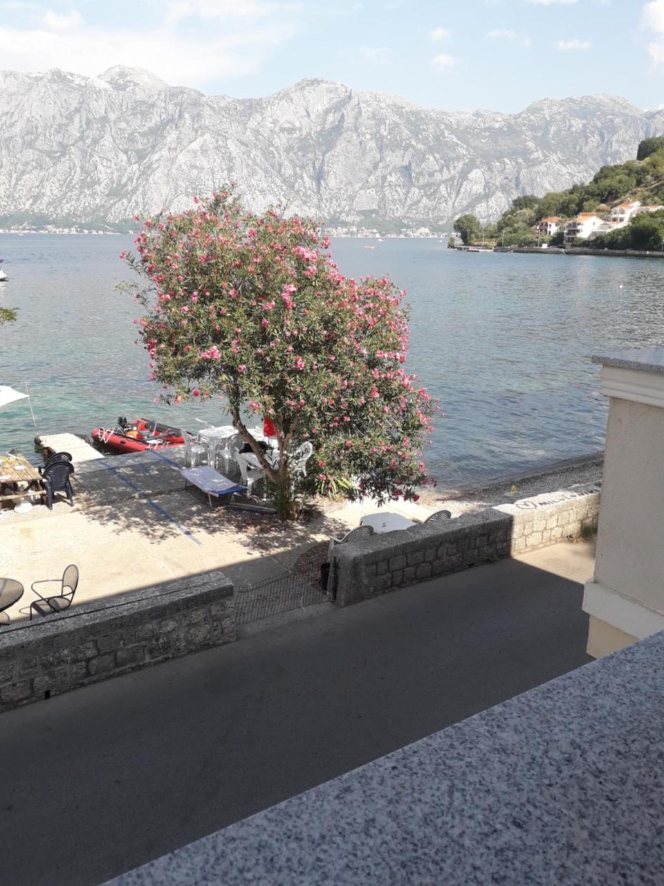 Apartmants Alexander Apartment Kotor Luaran gambar