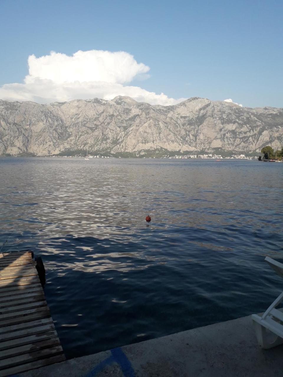 Apartmants Alexander Apartment Kotor Luaran gambar