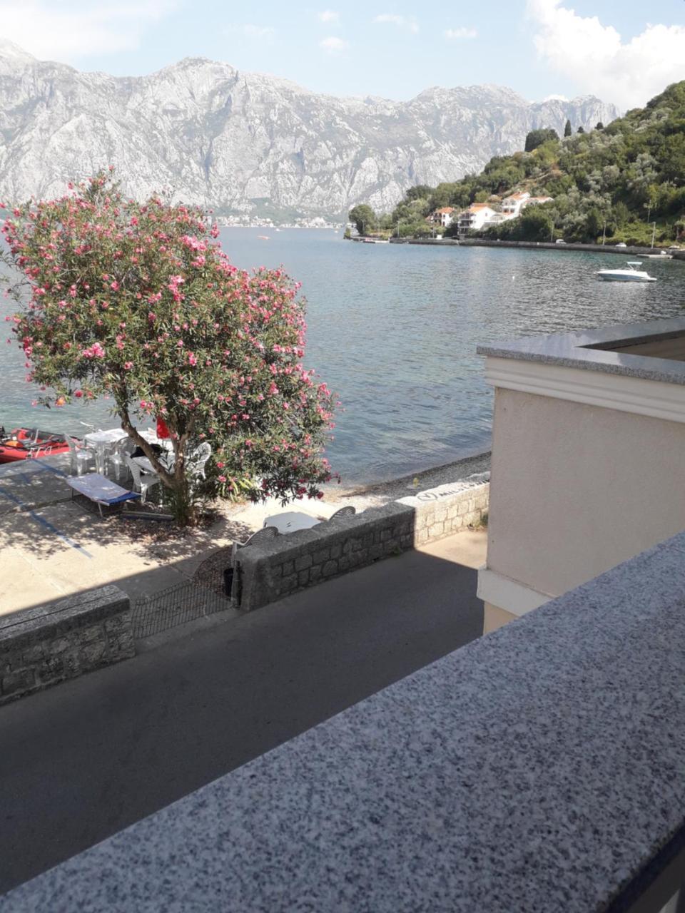 Apartmants Alexander Apartment Kotor Luaran gambar